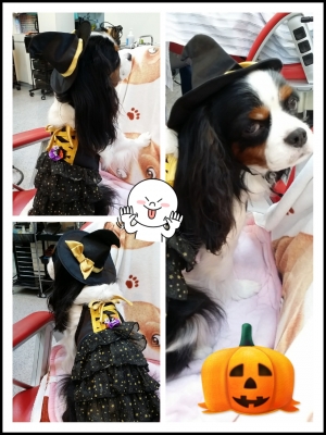 2014-10-29-23-27-26_deco.jpg