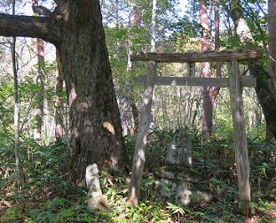 20141012山の神