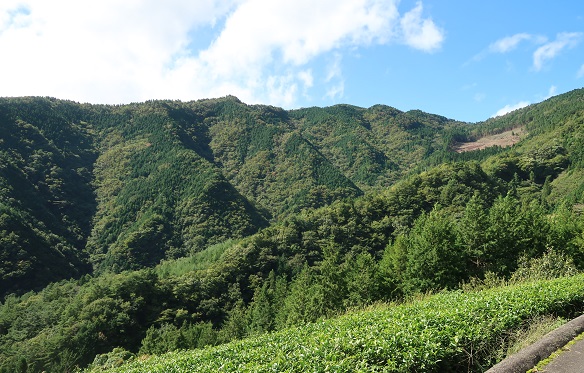 20181006岦»³.jpg