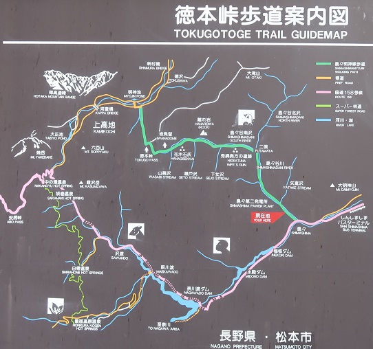 20190601ÃÏ¿Þ.jpg