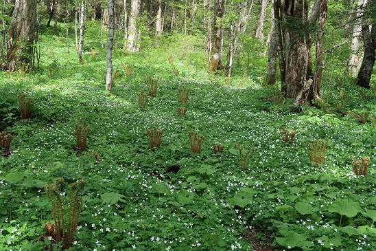 20190601ÆÁËÜÆ½12.jpg