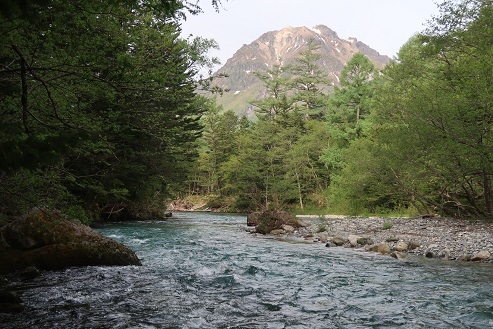 20190602¥¦¥¨¥¹¥È¥óº×2.jpg