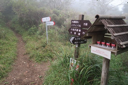 20190916¹õ´Ý2.jpg