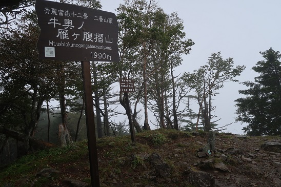 20190916¹õ³Ù8.jpg