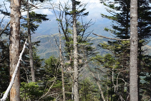 20200517·ÃÆá»³17.jpg