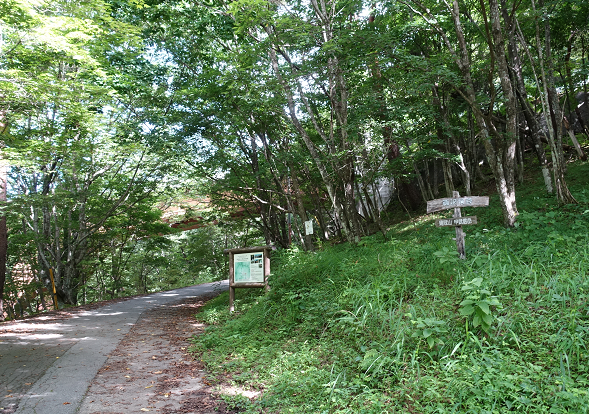 笛吹川西沢渓谷から黒金山(2,232m) | WALK あばうと 日本4,000山
