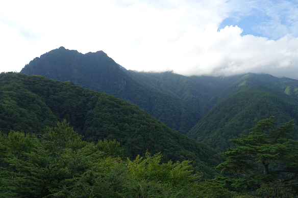 笛吹川西沢渓谷から黒金山(2,232m) | WALK あばうと 日本4,000山