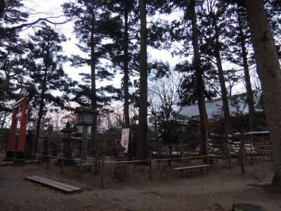 DSCN4571.JPG