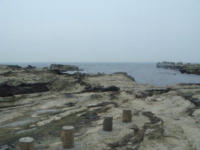 DSC00080.JPG