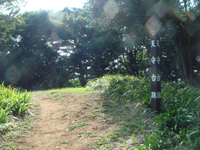 一夜城