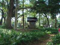一夜城