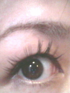 2010070823550000.jpg