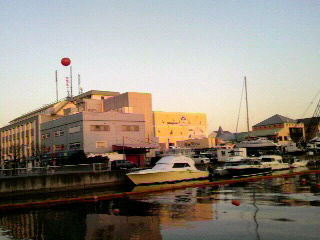 2011010916250000.jpg