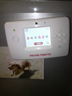 2011020920520001.jpg