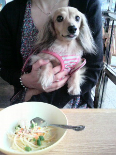 2011040313260000.jpg
