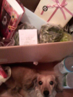 2011041911210000.jpg