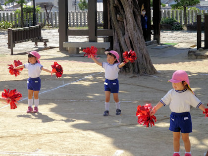 かぼちゃパンツ 発表会 運動会 幼稚園 保育園 パンツ