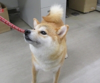 695