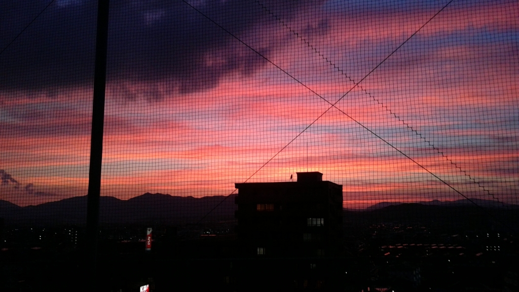 DSC_0780.JPG
