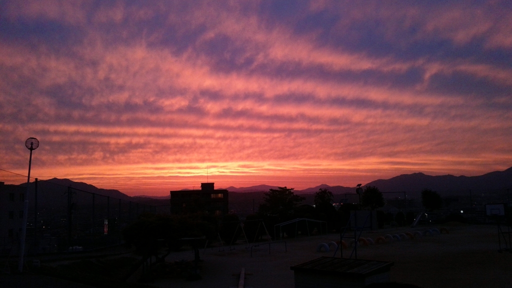 DSC_1262.JPG