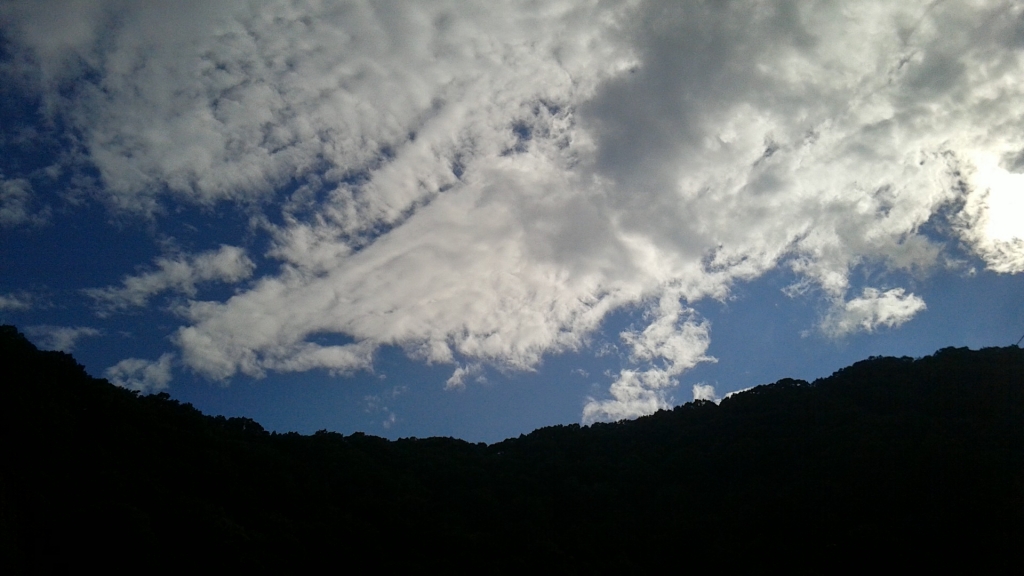 DSC_1354.JPG