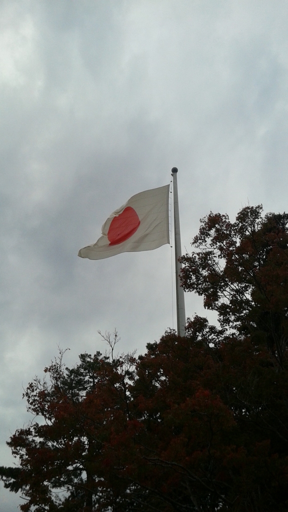 DSC_1561.JPG