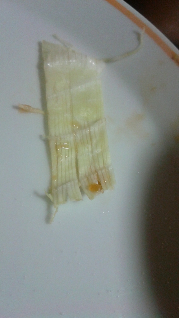 DSC_1669.JPG
