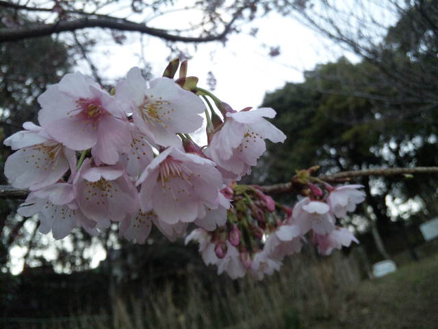 110316_174521.jpg