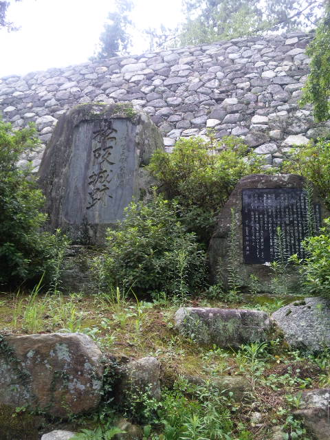 110821_112245.jpg