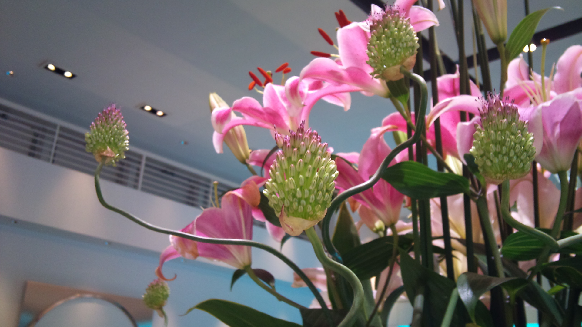 2011-05-05 14.09.48.jpg