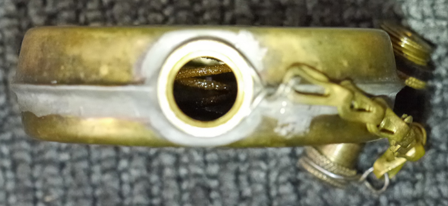 可愛らしいオイラーです | Chicago Blog