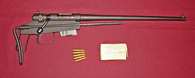 サバイバルするための銃 | Chicago Blog
