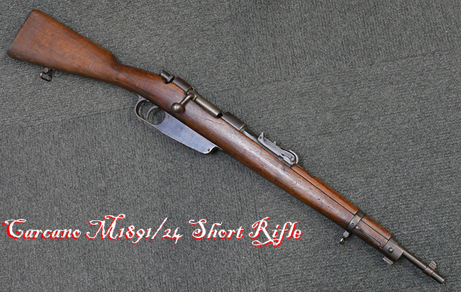 長くて、重い銃 e-l-t191-qbz-191-v0-