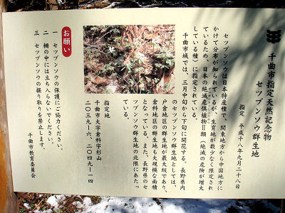 倉科群生地の看板