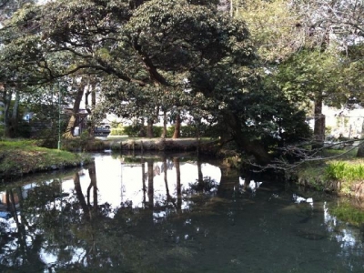 tojupond