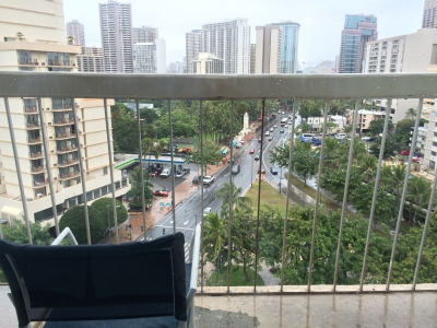 view