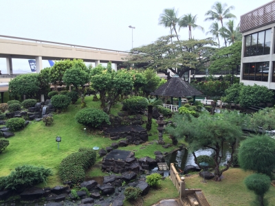 garden