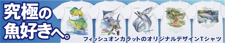 ��ˤε������ء��ե��å��奪�󥫥�å�