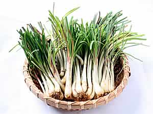 沖縄野菜 島らっきょ