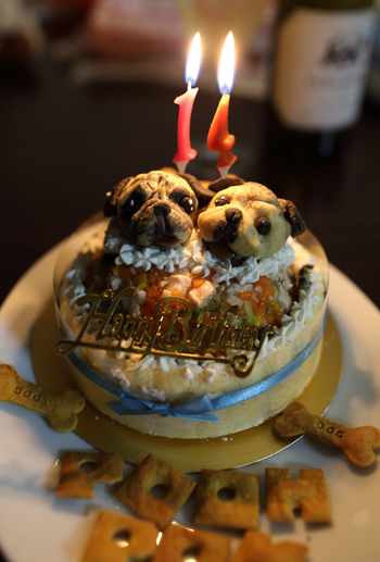 9A2C0389のコピー.jpg
