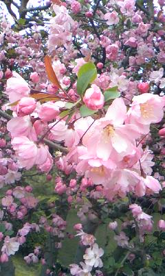 100409_1416~01.jpg