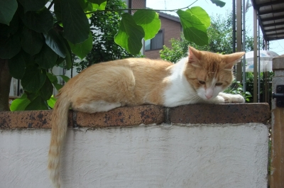 2010_06240007.JPG