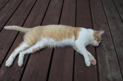 2010_06280008.JPG