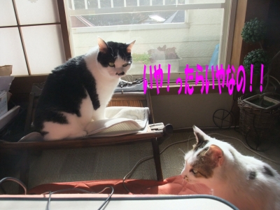 いやだってば!