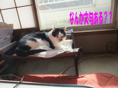 文句ある?