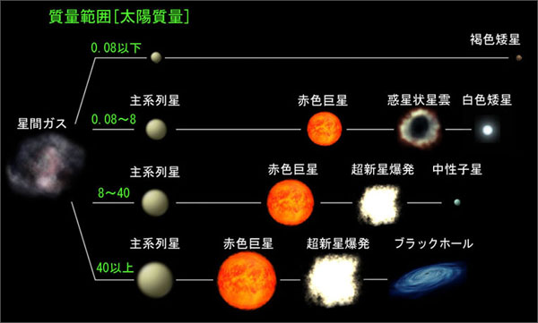 赤色　星 宇宙物理学 赤色巨星とその後 | 星空が好き、猫も好き