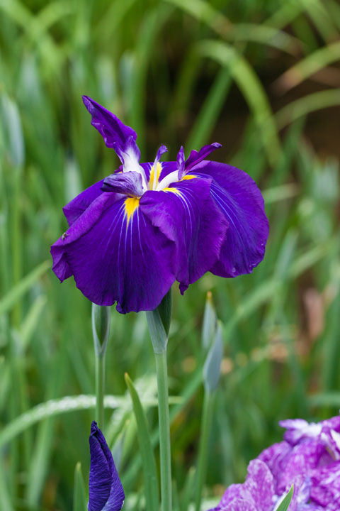 20140609_5211.jpg