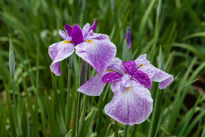 20140609_5242.jpg