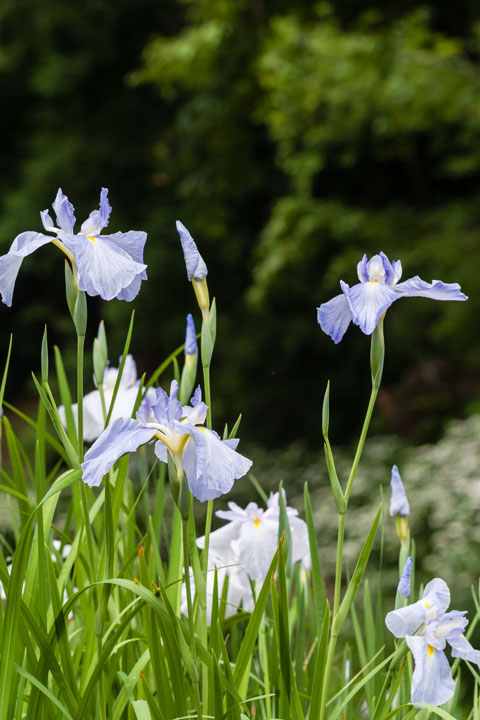 20140609_5318.jpg