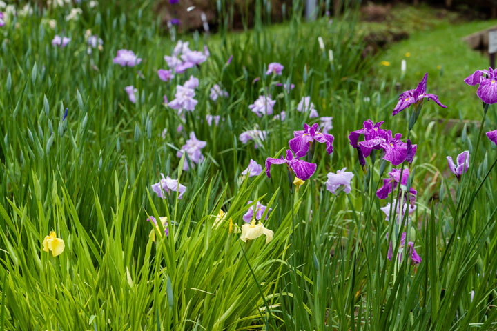 20140609_5333.jpg